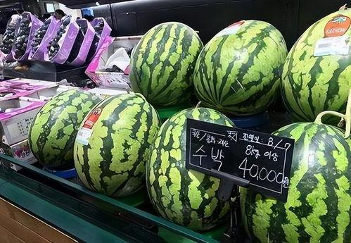 吃瓜比赛卖西瓜,吃瓜大赛，西瓜盛宴一触即发！  第3张